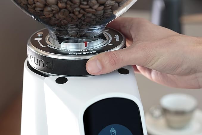 Fiorenzato All Ground Burr Grinder/Coffee Grinder for Home/Burr Coffee Ginder/Electric Coffee Ginder/Coffee Bean Grinder - 64mm flat burrs with Container (WHITE & WALNUT), Standard