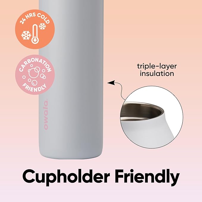 Owala FreeSip Twist Insulated Stainless Steel Water Bottle with Straw for Sports and Travel, BPA-Free, 24-oz, Teen Spirit
