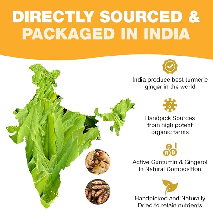 HANDPICK, Organic Turmeric Ginger Tea (100 Tea Bags) | Indian Origin | Caffeine Free, Gluten Free, Non-GMO | Savory & Spicy I Ecofriendly round tea bags