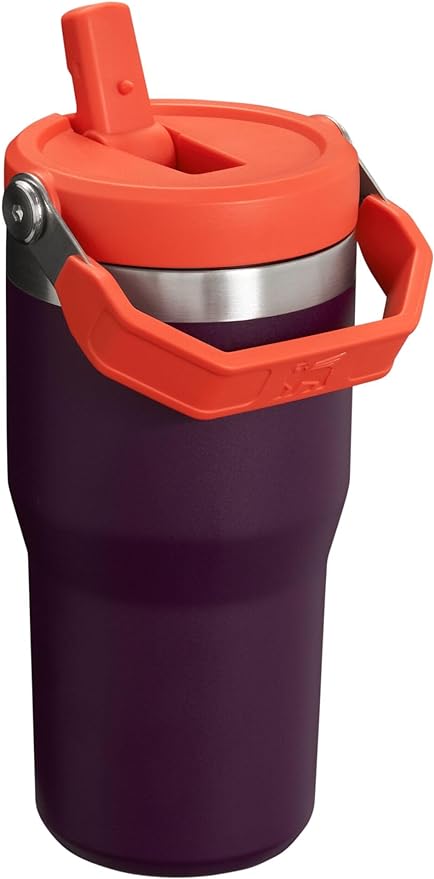 Stanley IceFlow Flip Straw Tumbler with Handle 20 oz | Twist On Lid and Flip Up Straw | Leak Resistant Water Bottle | Insulated Stainless Steel |BPA-Free | Plum