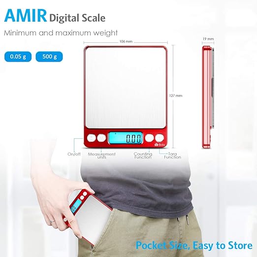 AMIR Upgraded Digital Kitchen Scale, 500g Mini Pocket Jewelry Scale, Cooking Food Scale with Back-Lit LCD Display, 2 Trays, 6 Units, Auto Off, Tare, Stainless Steel (Batteries Included)