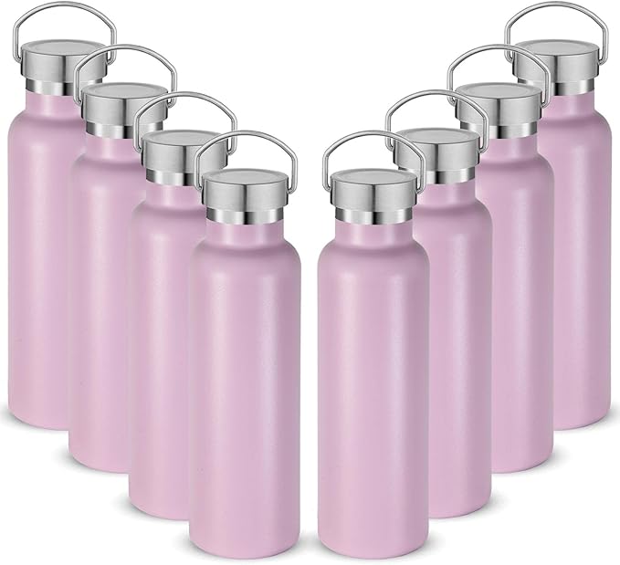 Neihepal 20 oz Insulated Water Bottles,Stainless Steel Double Wall Sport Bottle with Lid of Handle (8, Pink)