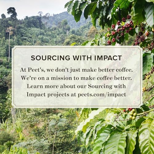 Peet's Coffee, Dark Roast Keurig K-Cup Pods, 100% Arabica Coffee - French Roast 10 Count (1 Box of 10 Pods)