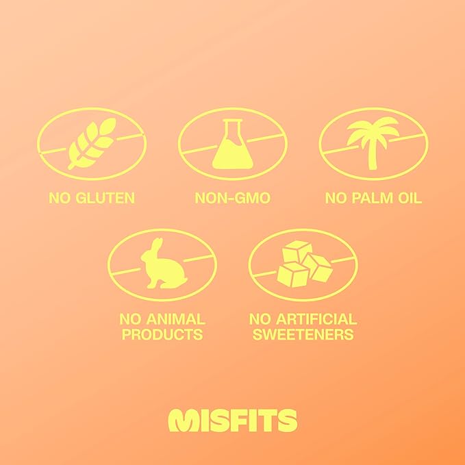 Misfits Vegan Protein Bars - Peanut Butter Fudge | Nutrition Bars - 14g Protein, 1g Sugar, Plant-based, Low Carb, Non-GMO, Gluten Free Snacks | Pack of 12