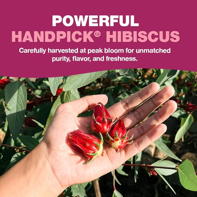 HANDPICK, Organic Hibiscus Tea Bags (100 Tea Bags) | Caffeine-Free, 100% Natural Pure Indian Hibiscus Flowers