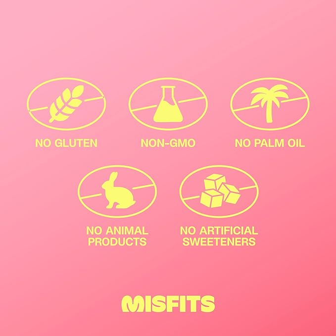 Misfits Vegan Protein Bars - Speculoos Cookie Butter | Nutrition Bars - 15g Protein, 1g Sugar, Plant-based, Low Carb, Non-GMO, Gluten Free Snacks | Pack of 12