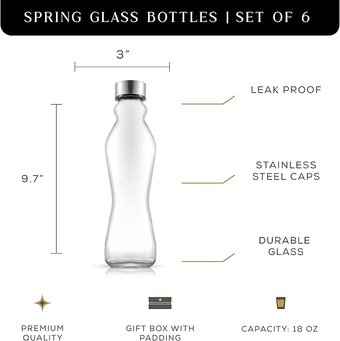 JoyJolt Spring Glass Water Bottles Set of 6-18 oz Glass Bottles with Stainless Steel Caps - Glass Drinking Bottles with Leakproof Lids - Reusable Glass Juice Bottle - Container Bottle Set