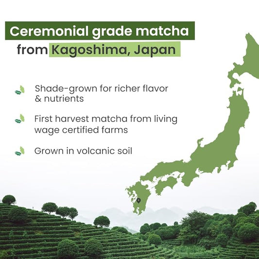 PureChimp Ceremonial Grade Matcha Powder 1.75oz. Pure Japanese Matcha Ceremonial Grade Tea, Shade-Grown in Kagoshima. Antioxidant-Rich Green Tea Powder for Lattes. Recyclable Glass Jar, Unsweetened