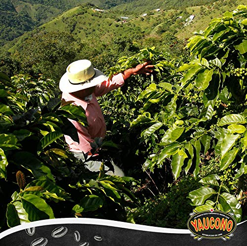 Yaucono Ground Coffee Bagged, Arabica Medium Roast, 14 Ounce (Pack of 1)