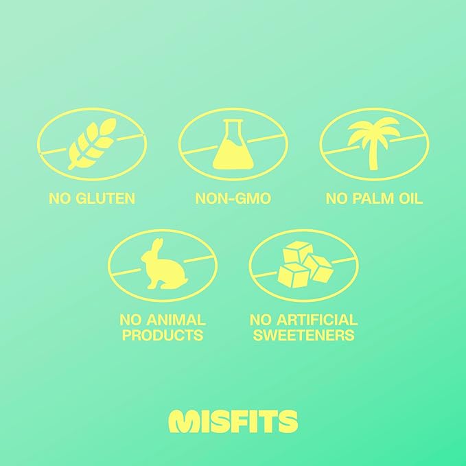 Misfits Vegan Protein Bars - Mint Chocolate Chip | Nutrition Bars - 15g Protein, 1g Sugar, Plant-based, Low Carb, Non-GMO, Gluten Free Snacks | Pack of 12