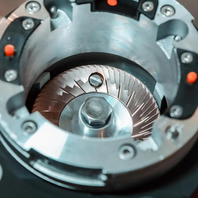 Fiorenzato All Ground Burr Grinder/Coffee Grinder for Home/Burr Coffee Ginder/Electric Coffee Ginder/Coffee Bean Grinder - 64mm flat burrs with Container - Made in Italy, Standard, White