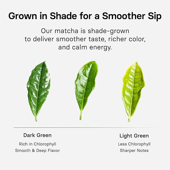 OSULLOC Premium Matcha Powder for lattes, Ceremonial Grade Korean Matcha, Premium Organic (USDA) Pure Leaf Green Tea from Jeju, 1.41 oz, 40g