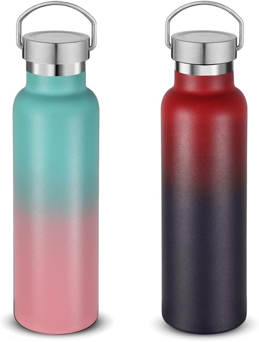 Neihepal 20 oz Insulated Water Bottles Bulk 2 Pack,Stainless Steel Double Wall Sport Bottle with Lid of Handle,Metal Reusable Thermoses Flask for School,Cyclists,Hikers,Gift (Assorted,Set of 2)