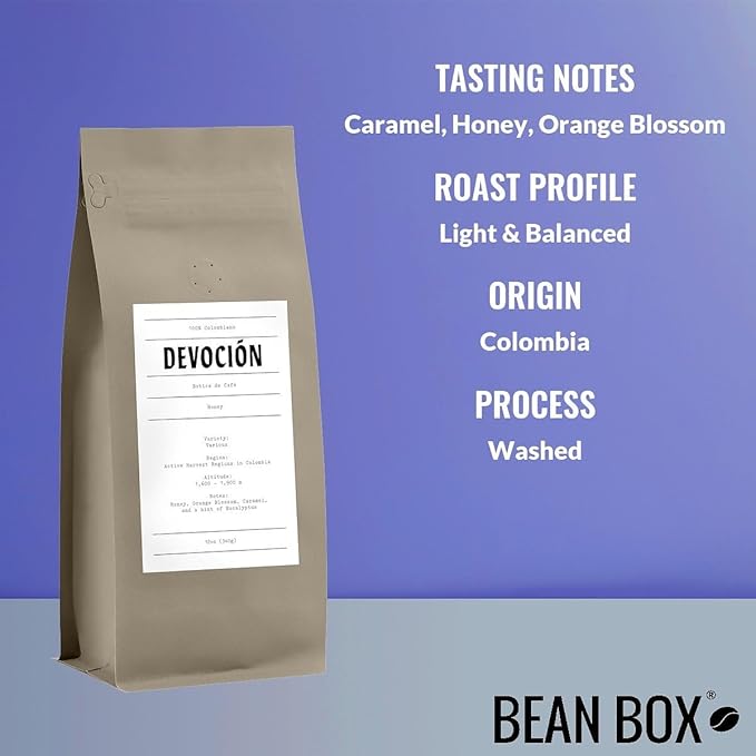 Bean Box Sampler - Roasted by Devocion, 3-Pack, Whole Bean Coffee, Gourmet Coffee