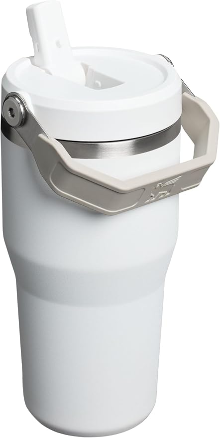 STANLEY IceFlow 2.0 Flip Straw Tumbler with Handle 20 oz | Twist On Lid and Flip Up Straw | Leak Resistant Water Bottle | Insulated Stainless Steel | BPA-Free | Frost