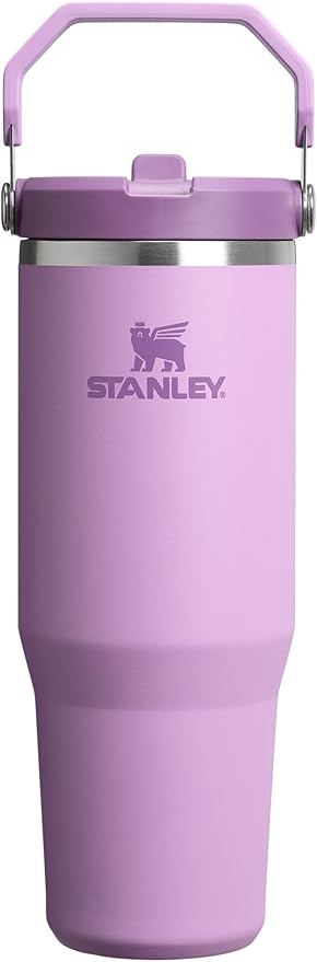 Stanley IceFlow 2.0 Flip Straw Tumbler with Handle 30 oz | Twist On Lid and Flip Up Straw | Leak Resistant Water Bottle | Insulated Stainless Steel | BPA-Free | Lilac