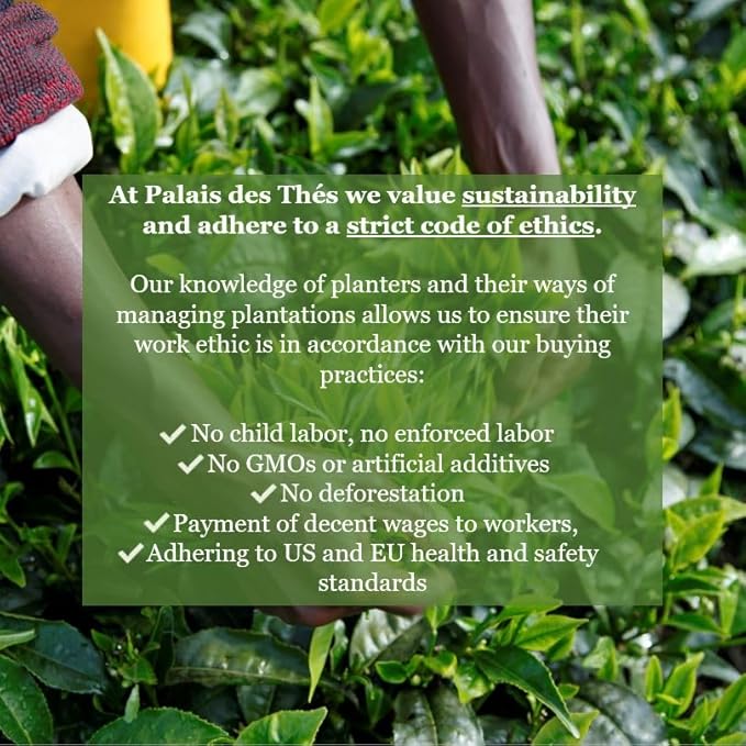 Palais des Thés Green Tea - Organic Sencha Ariake Blend - Premium Japanese Green Tea Bags, Serves 20 Cups