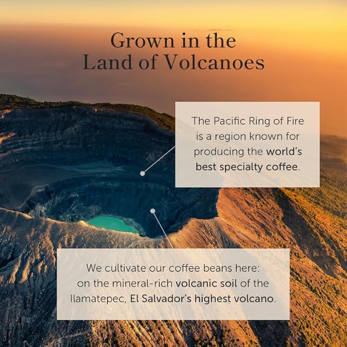 Bean of Fire | Ethiopian | Coffee Washed | 16 oz | Chocolate | Citrus Notes | Sugar Cane & Black Grapes | Floral Complexity | Ground Coffee