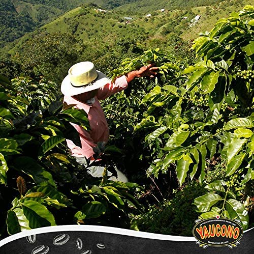 Yaucono Ground Coffee Bagged, 14 Ounce (Pack of 9)