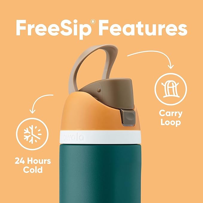 Owala FreeSip Insulated Stainless Steel Water Bottle with Straw, BPA-Free Sports Water Bottle, Great for Travel, 24 Oz, Water in the Desert