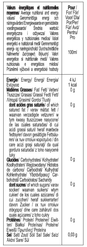 1883 Sugar Free Caramel Syrup for Drinks, Made in France, 1 Liter Plastic Bottle