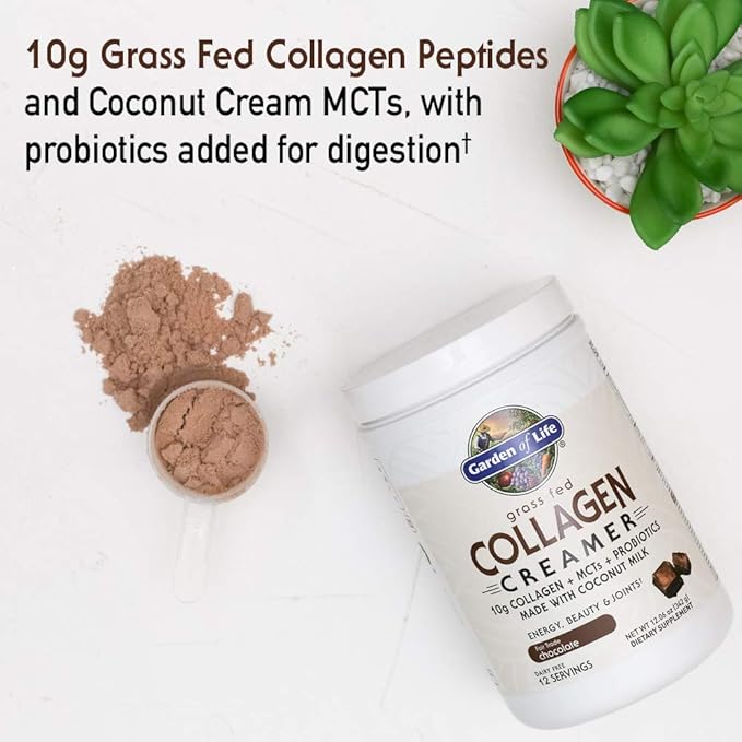 Garden of Life Grass Fed Collagen Creamer Powder - Chocolate, 12 Servings, Powder for Coffee Energy Beauty Joints, Collagen Peptides with Coconut MCTs, Keto Protein Supplements