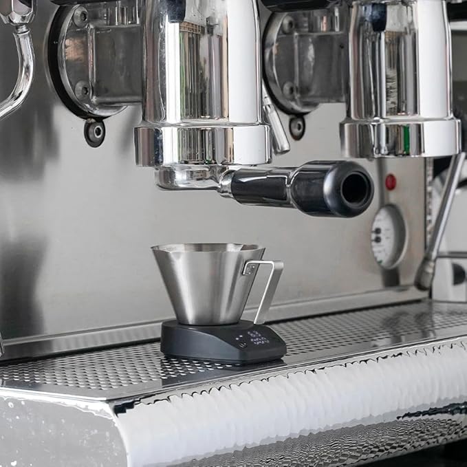watchget Stainless Steel Espresso Cups, Double Spout & Dual Scale Measuring Cup with Handle, 3.4OZ/100ml Capacity Espresso Accessories for Coffee Brewing (Silver)