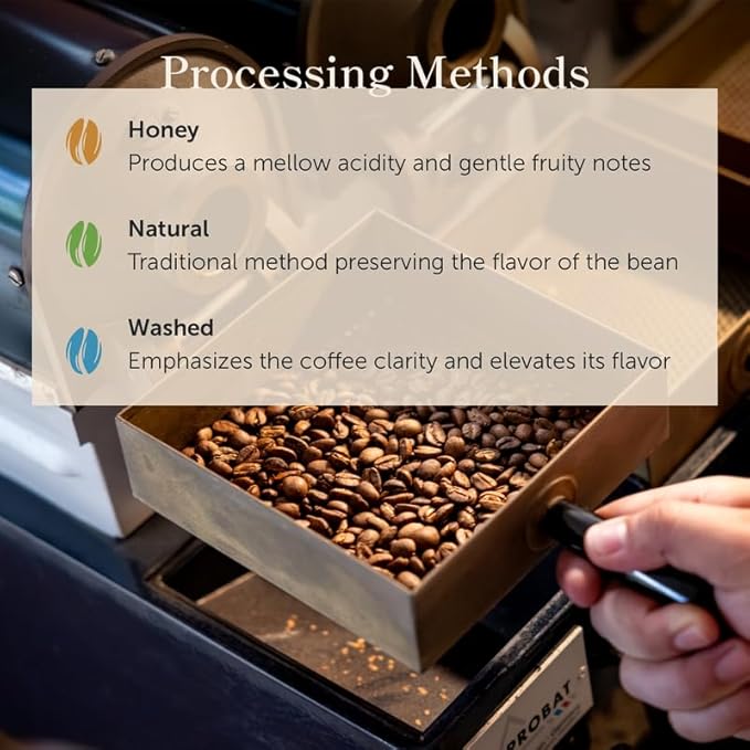 Bean of Fire El Salvador Gesha Natural Ground Coffee – Medium Roast, Single Origin Specialty, Chocolate & Lemon Cup (16 oz)