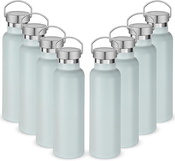 Neihepal 20 oz Insulated Water Bottles,Stainless Steel Double Wall Sport Bottle with Lid of Handle (8, Fog)