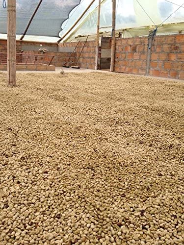 Good Times Coffee Company Colombian Huila Ethiopian Yirgacheffe Costa Rican Tarrazu Green Unroasted Coffee Beans, 3 Pound Variety