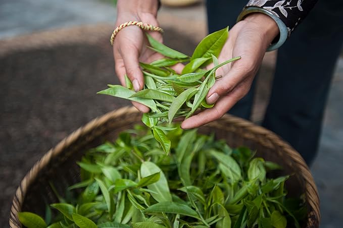 Palais des Thés - Blue of London - Earl Grey Black Tea, Bergamot & Cornflower - Premium Tea Bags, Serves 20 Cups