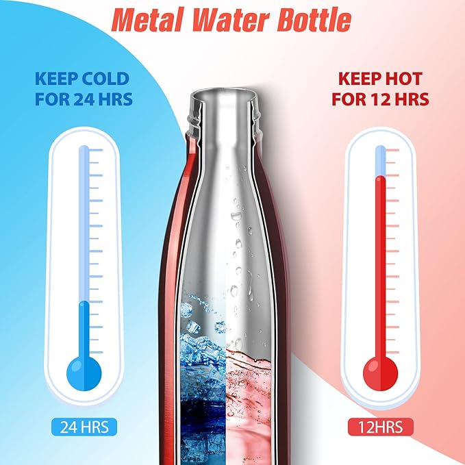 Sfee Insulated Water Bottle, 17 oz Stainless Steel Water Bottles, Double Wall Vacuum Reusable Water Bottles Leak Proof BPA-FREE Sports Bottle Cup Keep Hot&Cold for Running Gym Workout Cycling Kids