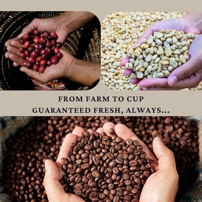 SipHaven Espresso Blend – Sipper's Whisper | Medium Roast Whole Bean Coffee | Rich, Smooth, Balanced Flavor | Specialty Grade Small Batch Roast | 1lb (16oz)