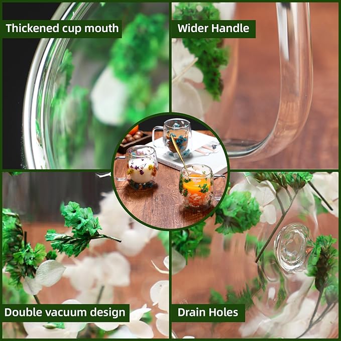 Dried Flowers Double Wall Insulated Coffee Mug, Borosilicate Glass Tea Cup with Real Flower Embedded, Heat Resistant Handle for Valentine's Day Birthday Gifts (green,8.45oz)