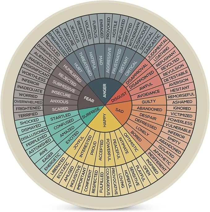 Wheel of Emotions Feelings Chart Coasters for Drinks Set of 4 Absorbent Round Ceramic Coaster Cork Base Cups Place Mat for Coffee Wooden Table Home Therapy Office Decor Counselor Therapist Gifts