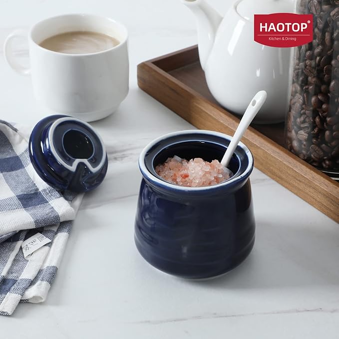 HAOTOP Porcelain Salt Bowl with Lid and Spoon,Ceramic Sugar Bowl 12oz (Navy)