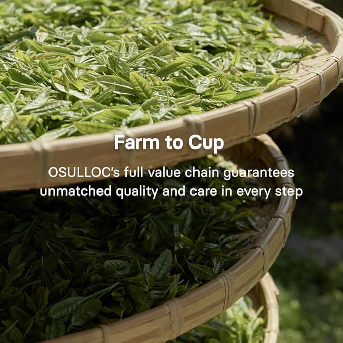 OSULLOC Premium Matcha Powder for lattes, Ceremonial Grade Korean Matcha, Premium Organic (USDA) Pure Leaf Green Tea from Jeju, 1.41 oz, 40g