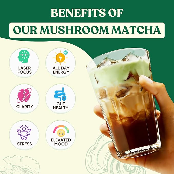 Venture Pal SUPERFOODS Mushroom Matcha Powder – 12 Adaptogenic Mushroom Coffee Alternative with 1.5B Probiotics & L-Theanine, First Harvest Ceremonial Matcha for Focus & Energy, 30 Servings