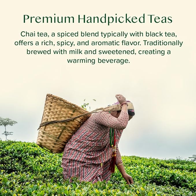 VAHDAM, Assorted Chai Teas Loose Leaf Tea Gift Set (10 Flavor, 50+ Servings) Valentines Day Gifts for Him & Her | Indian Exotic Chai Tea Blends | Resealable Ziplock Pouch