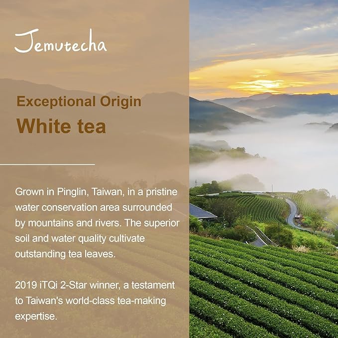 Jemutecha Organic White Tea 15 Tea Bags, 100% Pure Handpicked Award-Winning Tea, Clean & Smooth Taste, Caffeinated, Non-GMO, Premium Taiwanese Asian Tea, Rich in Theanine for Everyday Wellness