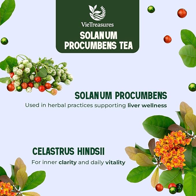 VieTreasures 100% Solanum Procumbens Tea, 40 Tea Bags | Solanum & Celastrus Blend | Caffeine-free, Gluten-free, Sugar-free | Herbal Cleanse Tea for Relax, Energy & Inner Health Support, 2.8oz
