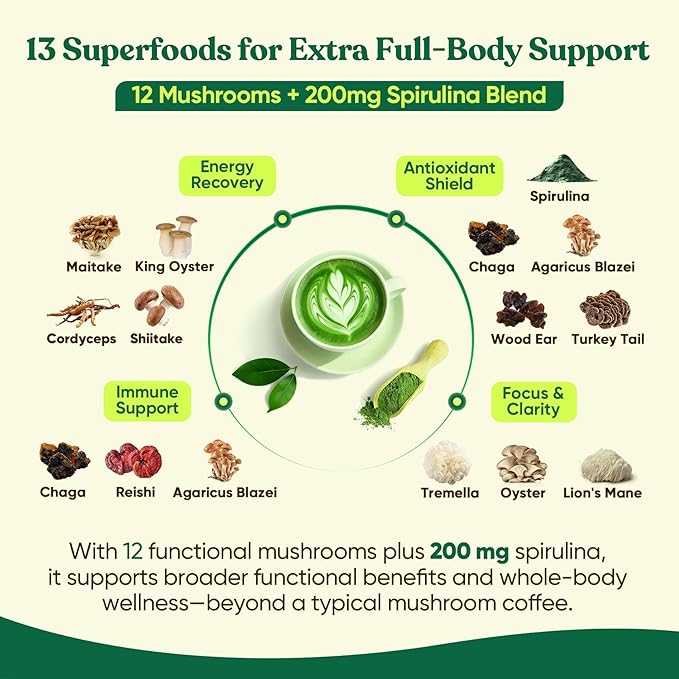 Venture Pal SUPERFOODS Mushroom Matcha Powder – 12 Adaptogenic Mushroom Coffee Alternative with 1.5B Probiotics & L-Theanine, First Harvest Ceremonial Matcha for Focus & Energy, 30 Servings