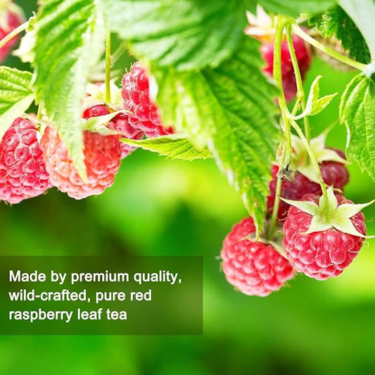 EILIN YHT Red Raspberry Leaf Tea Bags Herbal Tea - Eases Menstrual Cramps Supports Healthy Pregnancy 100 Counts 7.05Oz 200g