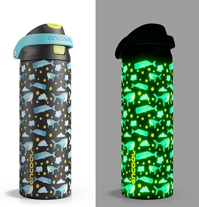 ENCOOL Leakproof Insulated Water Bottle with Straw Dual-Sip Water Bottle Bag-Safe Design for Work, Commute & Gym – Keeps Drinks Cold All Day, 24 oz, Sky Whale