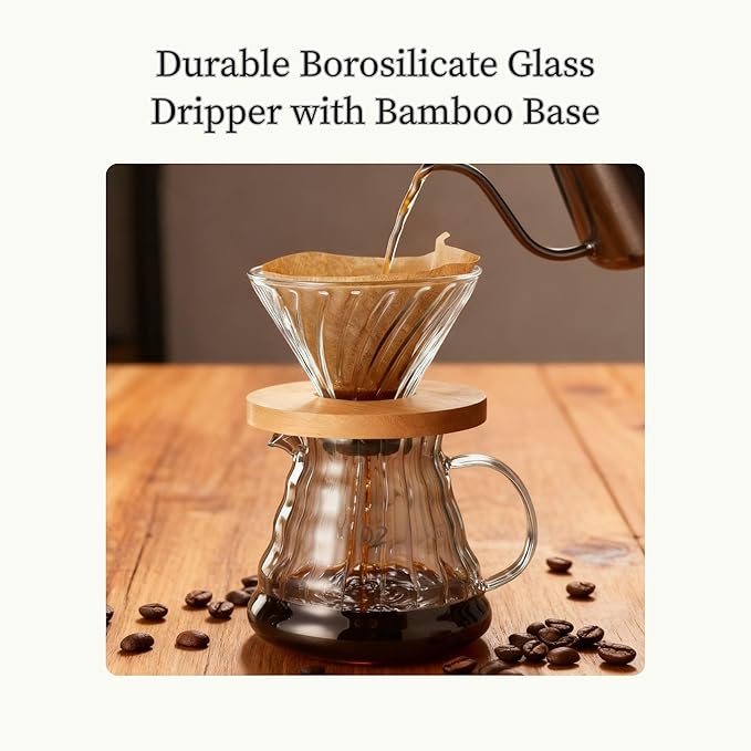 Pour Over Coffee Maker Set with Glass Carafe, Iron Stand, Bamboo Base, 20 oz Capacity, V02 Filter Papers(100 Count), Manual Drip Brewing System