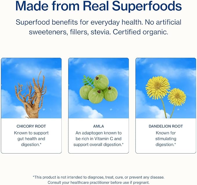 Sunwink Digestion Lemonade Powder-Organic Superfood Powder for Debloat & Gut Health-Plant-Based Support for Digestive Health with Amla Powder, Dandelion & Chicory Root Extract (6g Each, Pack of 15)