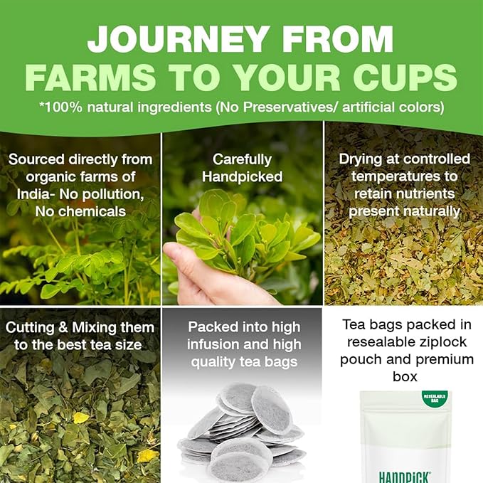 HANDPICK, Organic Moringa Tea Bags (100 Count), Pure Moringa Leaves | Authentic Indian Origin | Caffeine Free, Non GMO | Round Eco-conscious Teabags