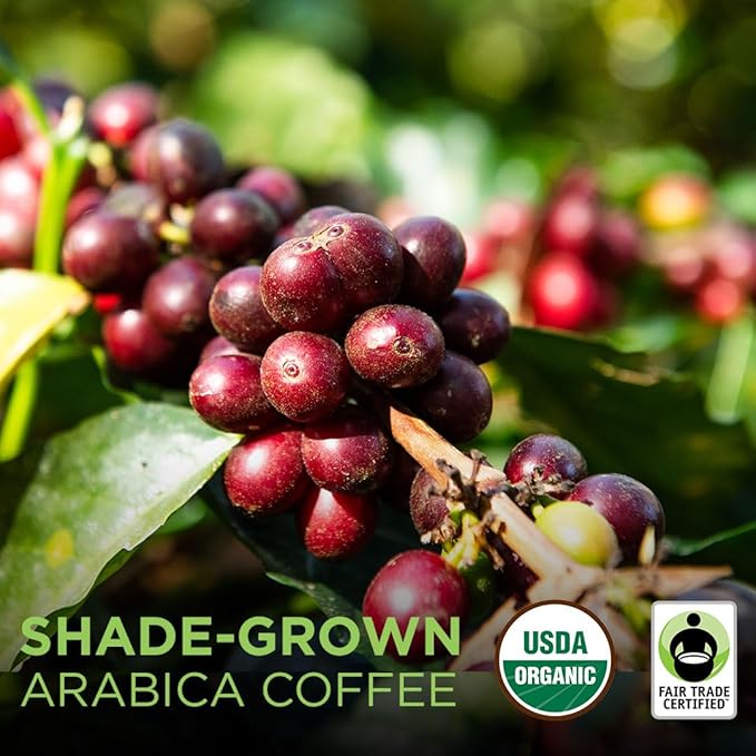 Tiny Footprint Coffee - Fair Trade Organic Peru APU Medium Roast - Whole Bean Coffee, USDA Organic & Carbon Negative - You Drink Coffee, We Plant Trees, 16 Ounce,9849109