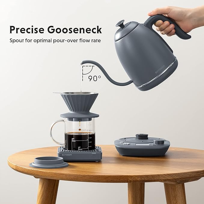 BUYDEEM K821 Electric Gooseneck Kettle with Variable Temperature Control, Pour Over Coffee Tea Kettle, Durable 18/8 Stainless Steel, Auto Keep Warm & Built in Brewing Timer, 0.8L