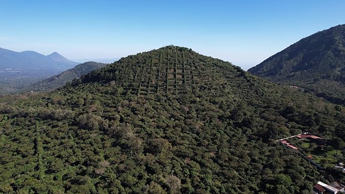 Tesoros Del Pais Green Unroasted Coffee Beans Ahuachapan, El Salvador Single Estate High Elevation (Wet Milled, 5 lb)